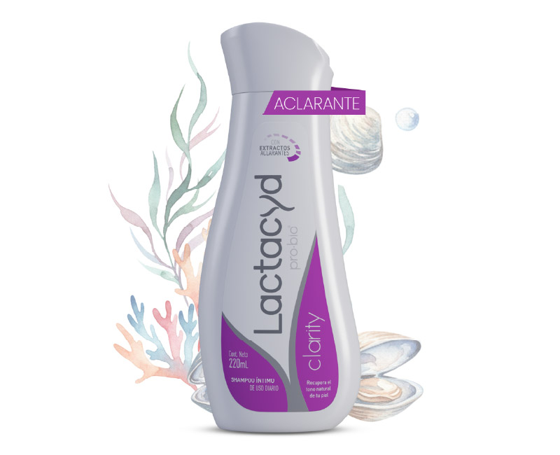 Portafolio Cre7tive_Web_KSK