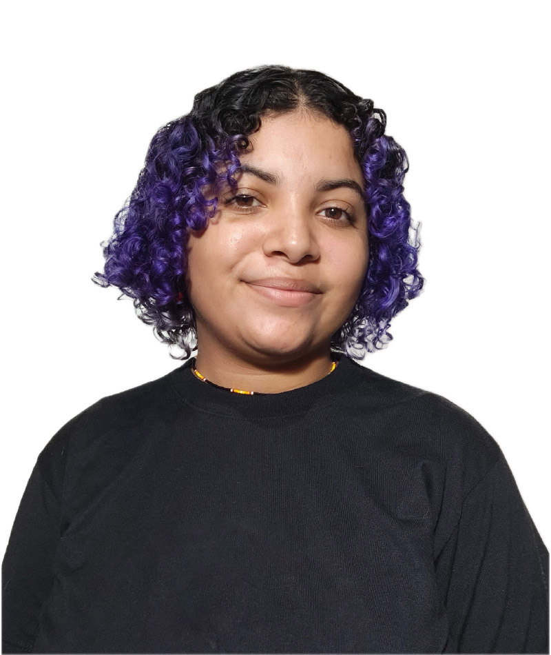 Why us_Equipo Diamely